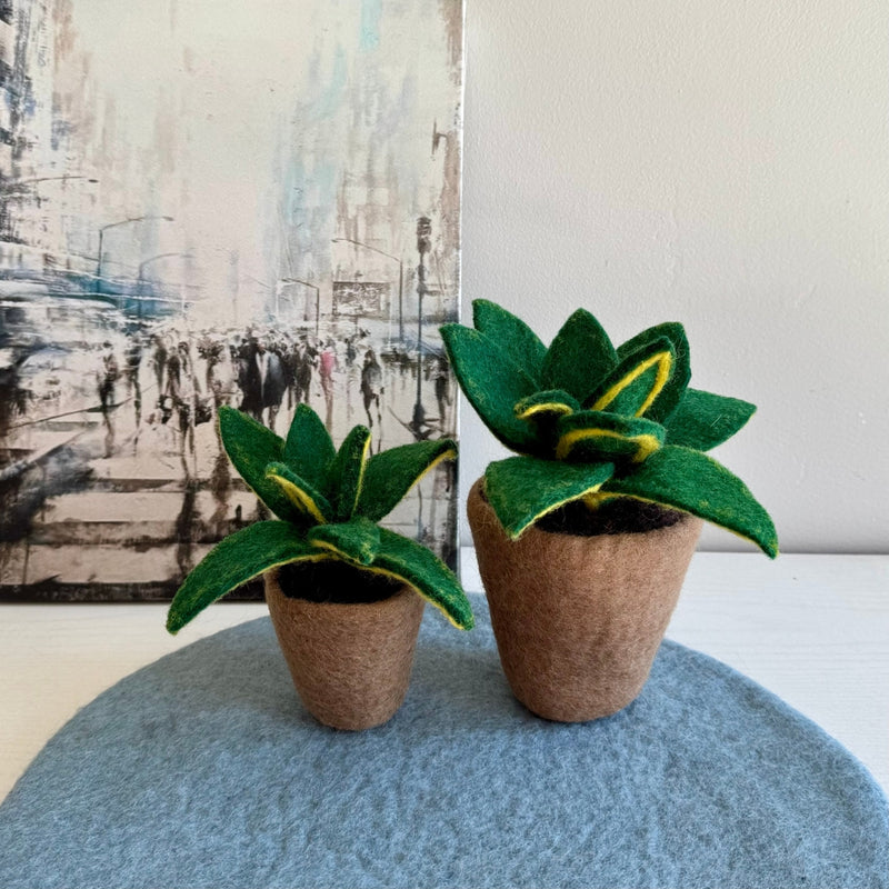 handmade succulent pots Humble Hilo Handmade Felt Flower Pot, Succulent