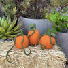 Humble Hilo Handmade Halloween Felt Pumpkins