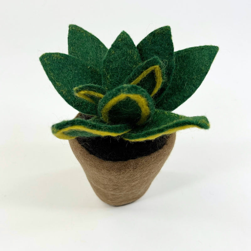 handmade succulent pots Humble Hilo Handmade Felt Flower Pot, Succulent