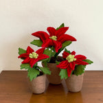 Humble Hilo Handmade Felt Flower Pot - Poinsettia, Red