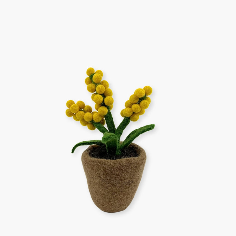 Humble Hilo Handmade Felt Flower Pot, Berry Flower