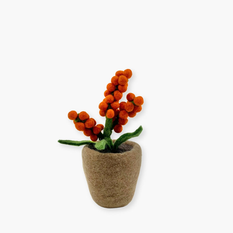 Humble Hilo Handmade Felt Flower Pot, Berry Flower