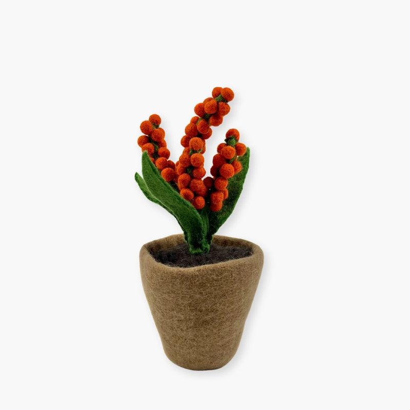 Humble Hilo Handmade Felt Flower Pot, Berry Flower