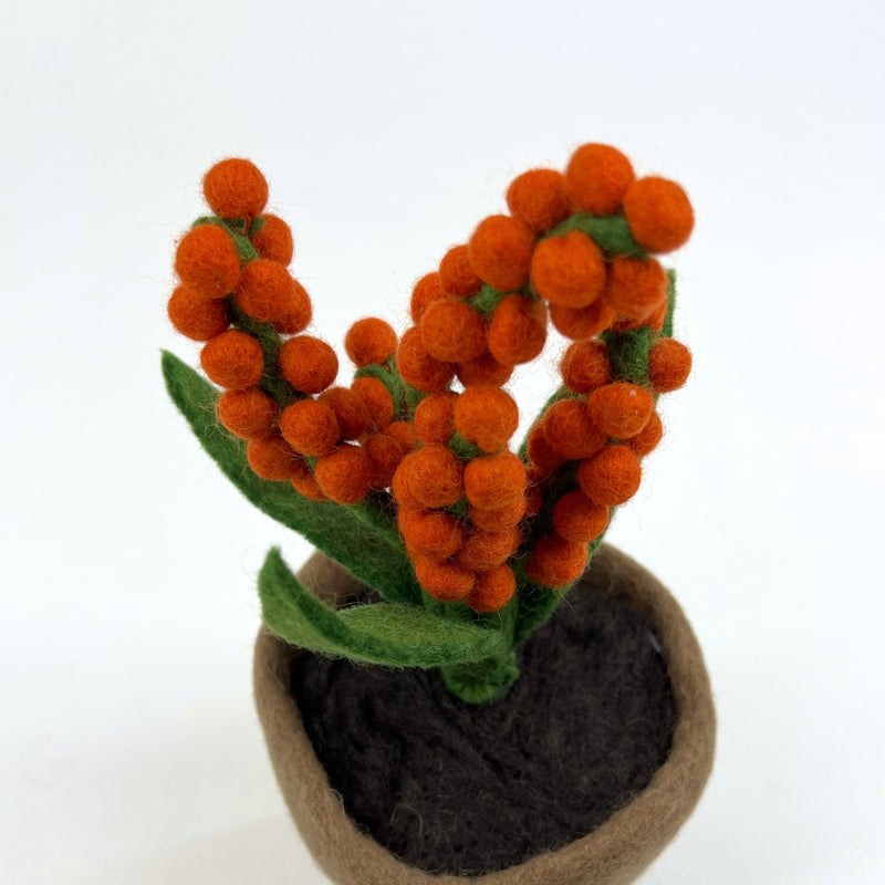 Humble Hilo Handmade Felt Flower Pot, Berry Flower