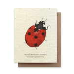Seven-Spotted Ladybug Plantable Wildflower Seed Card