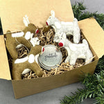 Reindeer Cheer Gift Box Set