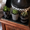 Soapstone Hand Carved Plant Pots