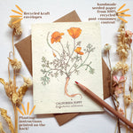 California Poppy Plantable Wildflower Seed Card