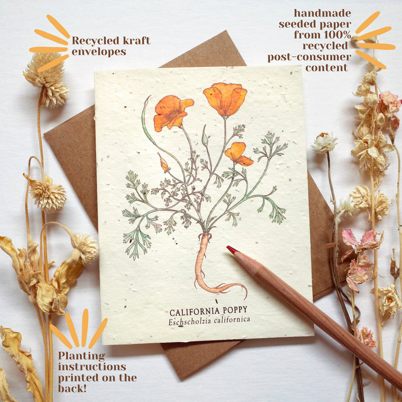 California Poppy Plantable Wildflower Seed Card