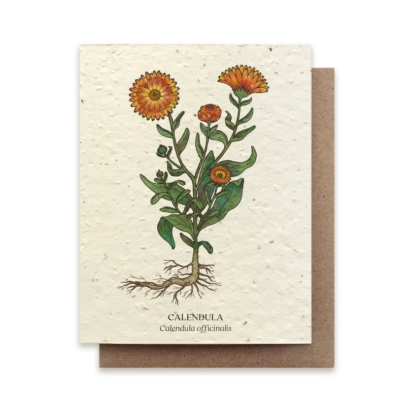 Calendula Plantable Wildflower Seed Card