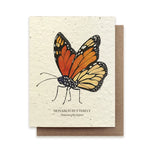 Monarch Butterfly Plantable Wildflower Seed Card