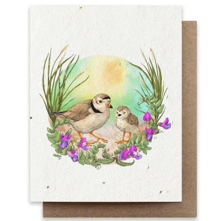 Summer Plovers Plantable Herb Seed Card